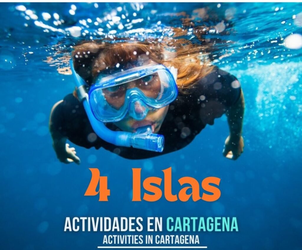 Tour 4 Islas