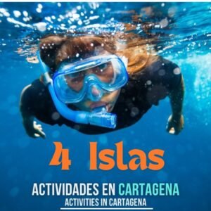 Tour 4 Islas
