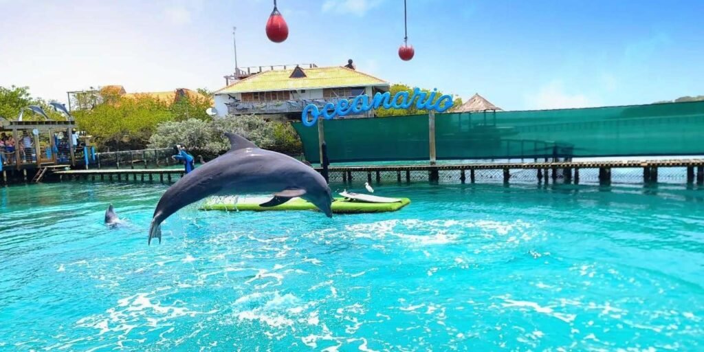 Tour 5 islas