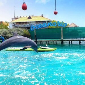 Tour 5 islas
